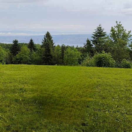 Ferienwohnung Le Panoramic Thollon-les-Memises Exterior foto